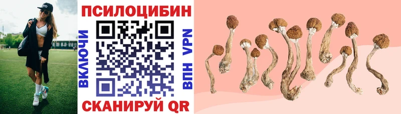Псилоцибиновые грибы MAGIC MUSHROOMS  Купить закладки  Мостовской 