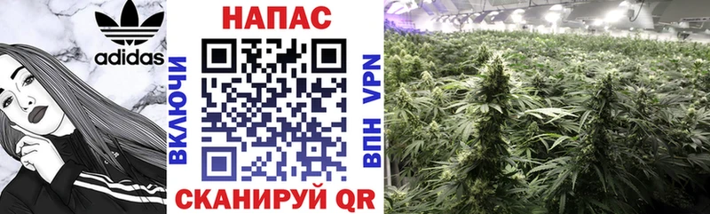 Конопля THC 21%  Купить где  Мостовской 